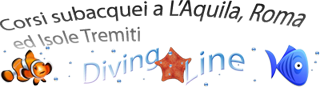 www.divingline.it